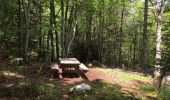 Tocht Stappen Saint-Nizier-du-Moucherotte - Un petit AR sur le sentier du Périmètre  - Photo 9