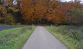 Trail On foot Enschede - Wandelnetwerk Twente - gele route - Photo 1