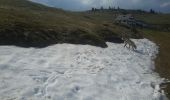 Tocht Stappen Wasserbourg - Tour du Petit Ballon et des fermes auberges - Photo 9