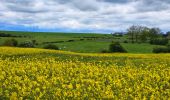 Tour Wandern Philippeville - Balade à Omezée - Photo 12