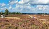 Trail On foot Neu Wulmstorf - Wander-Tour Wulmstorfer Heide - Photo 2