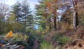 Tour Wandern L'Albère - autour de St Martin l'albere et puig forcadell  - Photo 9