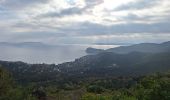 Trail Road bike Le Lavandou - bormes col canadel bormes - Photo 10