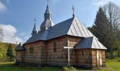 Randonnée A pied Olchowiec - Ścieżka Przyrodniczo-Historyczna Olchowiec - Photo 10