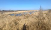 Tocht Stappen Emmen - Bargerveen - Photo 11