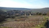 Trail Walking Courthiézy - Courthiezy du 13-02-2021 - Photo 2