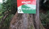 Tour Wandern Le Lorrain - 22 mai 22 Morne 22 km Lorrain  - Photo 14