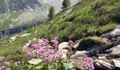 Tour Wandern Chamonix-Mont-Blanc - Glacier d'Agentière 2338m 15.7.22 - Photo 1