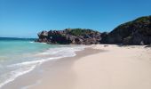 Excursión Senderismo Le Vauclin - Petite Anse Macabou - Pointe Marée - Photo 4