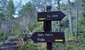 Trail Walking Prads-Haute-Bléone - LA JAVIE , refuge de la Ceriege . S Pierre o n  - Photo 2