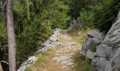 Tour Wandern Le Grand-Bornand - Arabie 1 - Photo 4