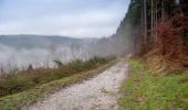 Tour Zu Fuß Engelskirchen - Panoramaweg Nord - Photo 4