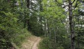 Tocht Stappen Puy-Saint-Vincent - Le Villaret La combe noire - Photo 8