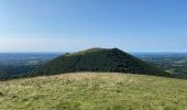 Tocht Stappen Ceyssat - Puy-de-Dôme, Petit Suchet et Grand Suchet - Photo 11