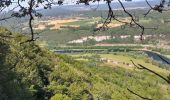 Trail Walking Dammartin-les-Templiers - dammartin les templiers - Photo 12