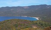 Tour Wandern Serra-di-Ferro - Plage de Cupabia  - Photo 14