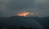 Percorso A piedi Hohenwarte - Rundwanderung Preßwitzer Spitze-Alter Bucht-Bucha - Photo 5