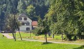 Trail Walking Sainte-Croix-aux-Mines - Le Hury par le Petit-Haut - Photo 10