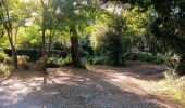 Randonnée Marche Rivedoux-Plage - Île de Ré Bois fleuri et mer - Photo 1