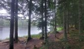 Excursión Senderismo La Chaise-Dieu - Bois de Breuil - Photo 19