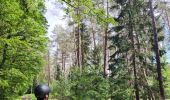 Trail Horseback riding Falck - Falck - Forêt de la Houve - Photo 9