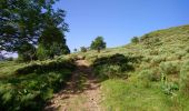 Tocht Stappen Laveissière - Cantal - Cheyrouze (Laveissière) - Puy de Seycheuse - 14.8km 600m 5h35 - 2019 06 30 - Photo 3