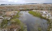 Tour Wandern Peyre en Aubrac - Aumont Aubrac / Le Py auberge les gentianes  - Photo 9