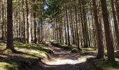 Trail Walking Stavelot - 2021-03-10_14h59m08_1227 - Photo 8