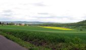 Excursión A pie Gudensberg - Gudensberger Panoramaweg Ostrunde - Photo 6