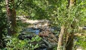 Trail Walking Villeneuve-Loubet - Les Rives du Loup, de Villeneuve L. Médiathèque à La Colle sur Loup - Photo 3