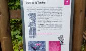 Percorso Marcia Le Thillot - Col des Croix - Vierge des Neiges - Hautes Mines - Tête des Noirs Étangs - Château Lambert - Photo 20