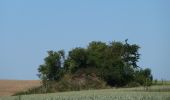 Trail On foot Jodoigne - Promenade de la chapelle d'Herbais - Photo 4