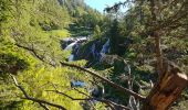 Tocht Stappen Saint-Martin-Vésubie - trecolpas - Photo 10