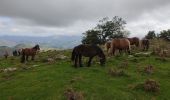 Tocht Stappen Orbaizeta - Pyrénées 3 - Photo 3