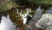 Tour Wandern Cauterets - 2023-09-04 Pont dEspagne-Marcadau-3 lacs - Photo 11