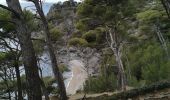 Excursión Senderismo Six-Fours-les-Plages - Les falaises du mont Salva - Photo 5