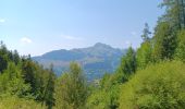 Trail Walking Puy-Saint-Eusèbe - canal de reyssas jusqu'aux Touisses / retour par le GR Serre-Ponçon via ravin de la pisse  - Photo 14