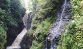 Randonnée Marche Belfast - glenarif forest park - waterfalls - Photo 7