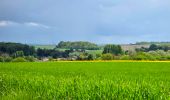 Tocht Stappen Santeuil - De Santeuil à Clery en Vexin - Photo 6