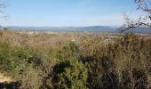 Trail Walking Roquebrune-sur-Argens - ROQUEBRUNE SUR ARGENS - A L'OUEST DE LA FLUTE - Photo 8