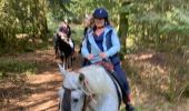 Trail Horseback riding Étival-Clairefontaine - Pierre d’appel etival claire fontaine  - Photo 2