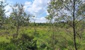 Percorso Marcia Spa - aérodrome. bois des vieilles fagnes . malchamps . retour le long de la fagne  - Photo 16