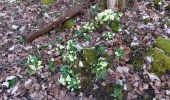 Trail Walking Nances - MONTAGNE DE L'EPINE: COTES DE NANCES - Photo 10
