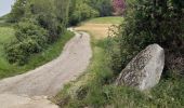 Tocht Stappen Aubres - le Flachet petit Veyronne ferme des Faviers - Photo 1