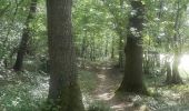 Tour Wandern Andenne - 20190702 Kevret - Photo 6