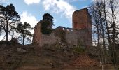 Tour Wandern Barr - Barr - sentier géologique - Landsberg - kiosque du Jadelot - Photo 9