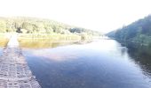 Tour Wandern Vresse-sur-Semois - Descente au pont de claies - Photo 1