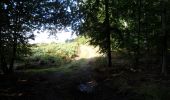 Tocht Stappen Montmain - 20220915-Montmain  - Photo 6