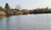 Tocht Stappen Fréjus - étangs de Villepey Saint Aygulf - Photo 10