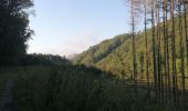 Trail Walking Bouillon - Belle rando très sportive au départ de Rochehaut  - Photo 19